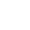 icon check