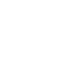 icon check