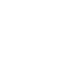 icon check